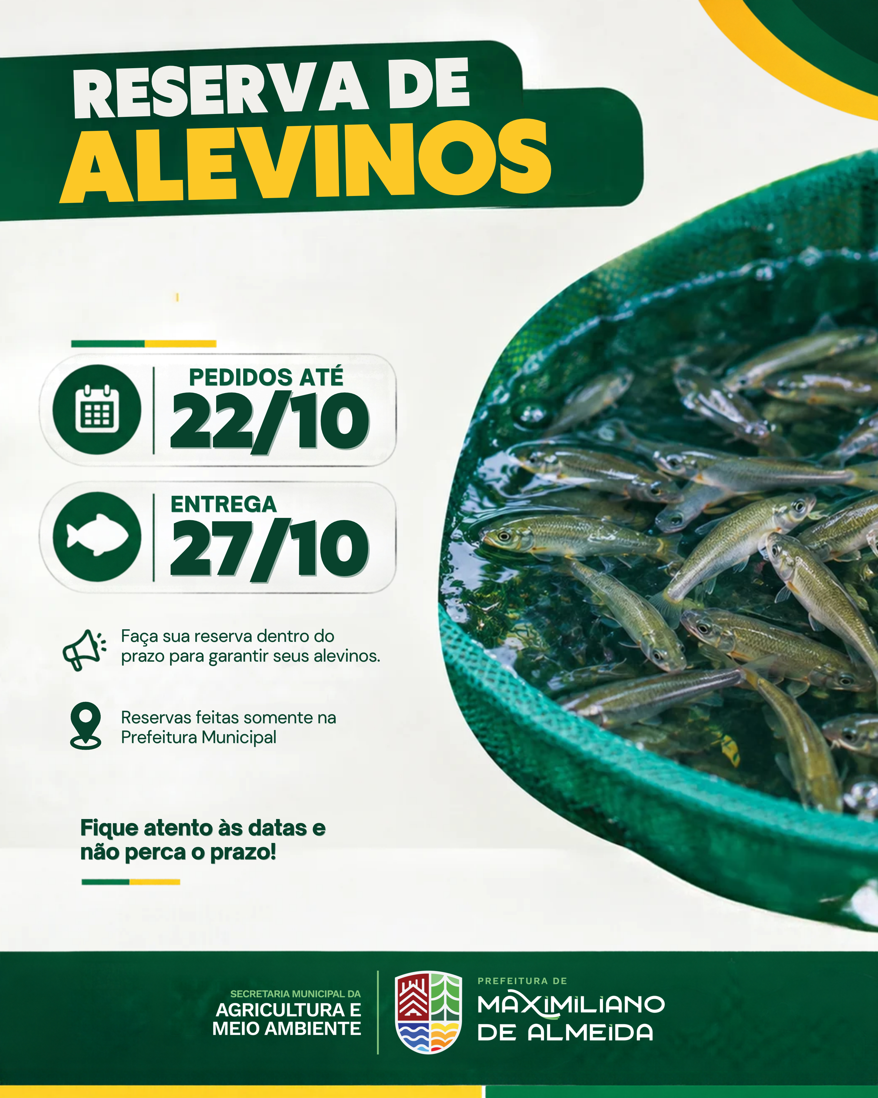 Prefeitura abre pedidos para nova entrega de alevinos em Maximiliano de Almeida